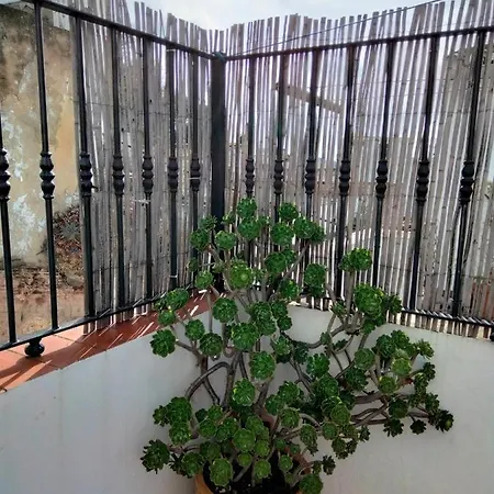 Casa Vista Holiday home *